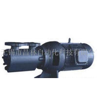 GR60SMT16B440,GR60SMT16B500L蒸汽压缩机齿轮箱润滑泵